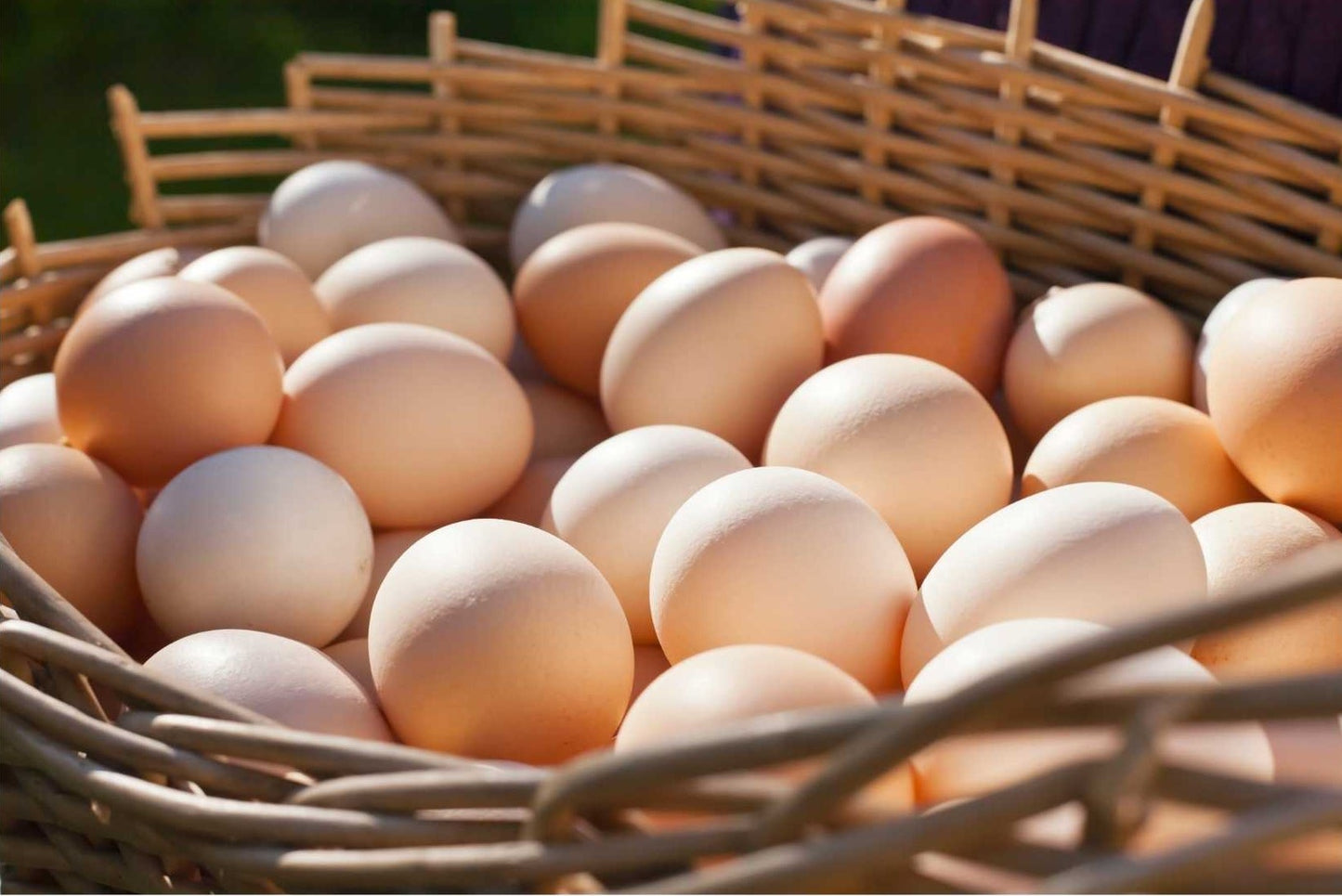 Pasture Raised Eggs