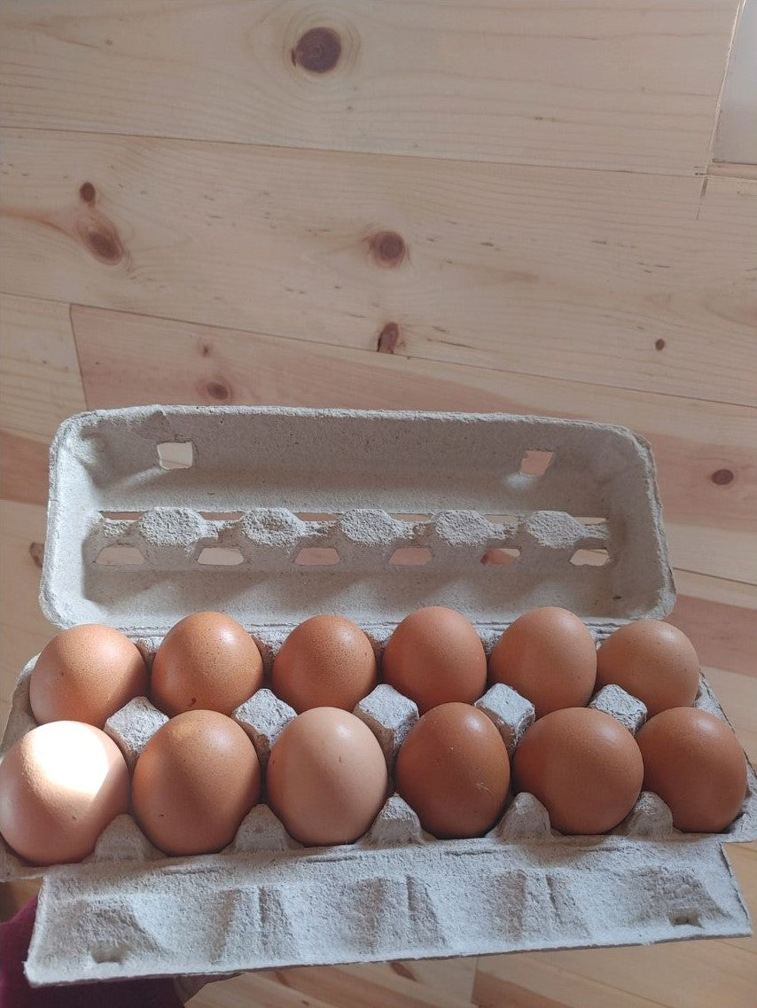 Pasture Raised Eggs